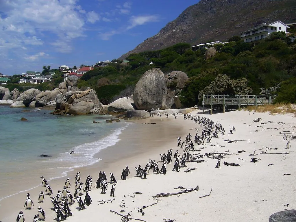 Thulani River Lodge Hout Bay 0*,