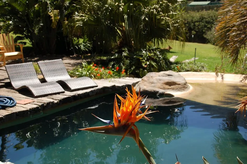 Thulani River Lodge Hout Bay South Africa